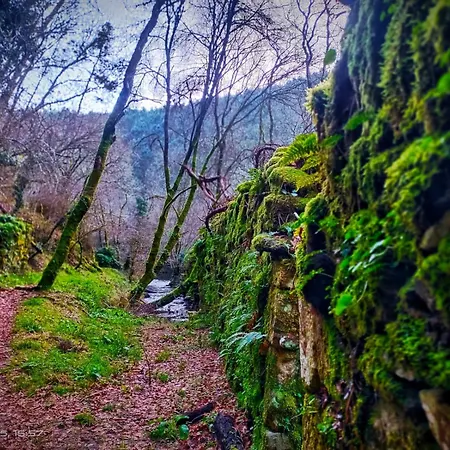 A Casina Do Anselmino