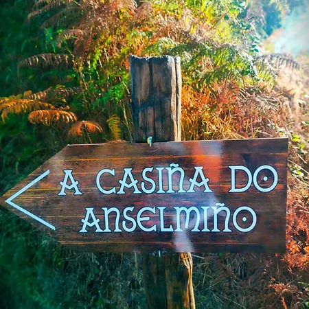 A Casina Do Anselmino Dom wakacyjny Celanova