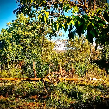 A Casina Do Anselmino Dom wakacyjny