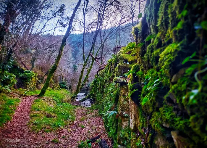 A Casina Do Anselmino