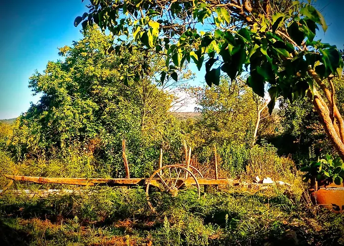 A Casina Do Anselmino Semesterbostad