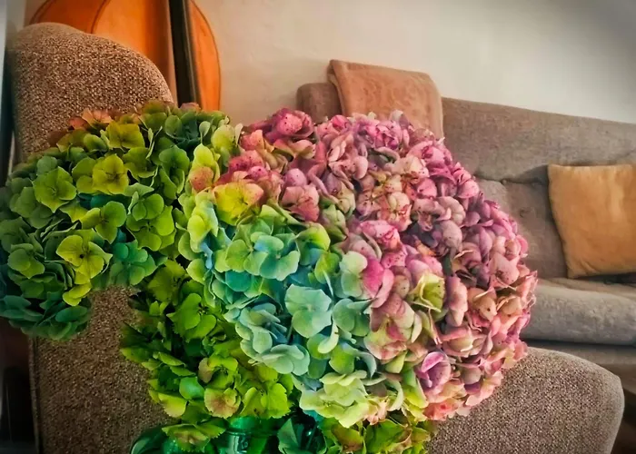 A Casina Do Anselmino